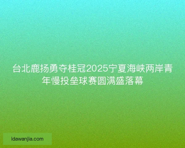 台北鹿扬勇夺桂冠2025宁夏海峡两岸青年慢投垒球赛圆满盛落幕